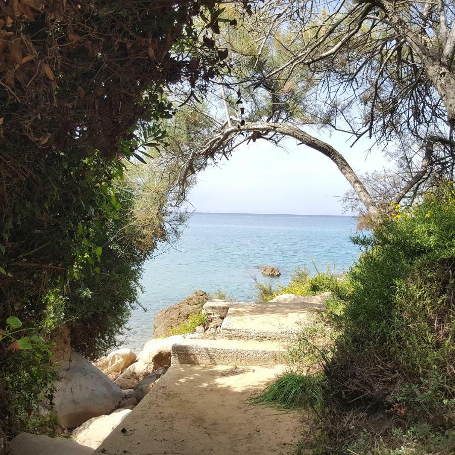 Villa Di Franco Cefalu Bagian luar foto